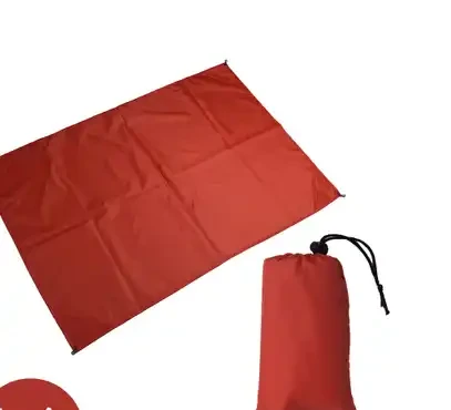 20231127095528 20231127095528